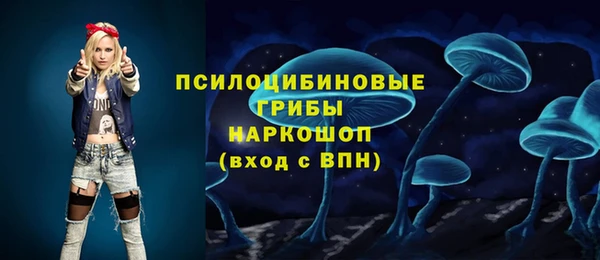 ПСИЛОЦИБИНОВЫЕ ГРИБЫ Баксан