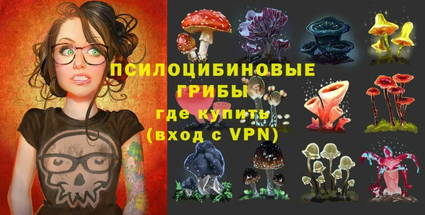 ПСИЛОЦИБИНОВЫЕ ГРИБЫ Баксан