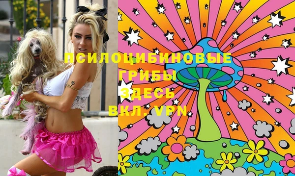 ПСИЛОЦИБИНОВЫЕ ГРИБЫ Баксан
