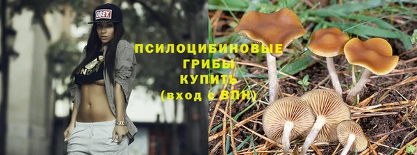 MESCALINE Арсеньев