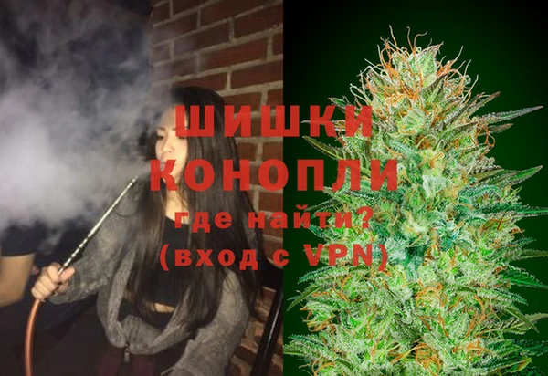 бошки Иннополис